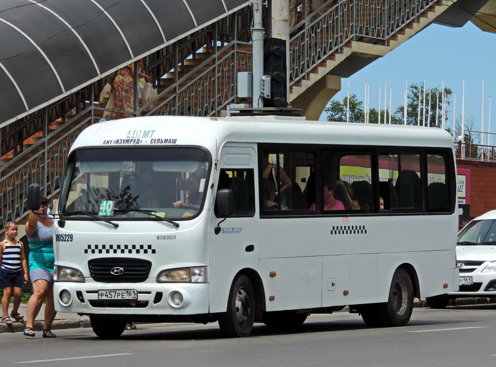 Ростовская область, Hyundai County LWB C11 (ТагАЗ) № 005229