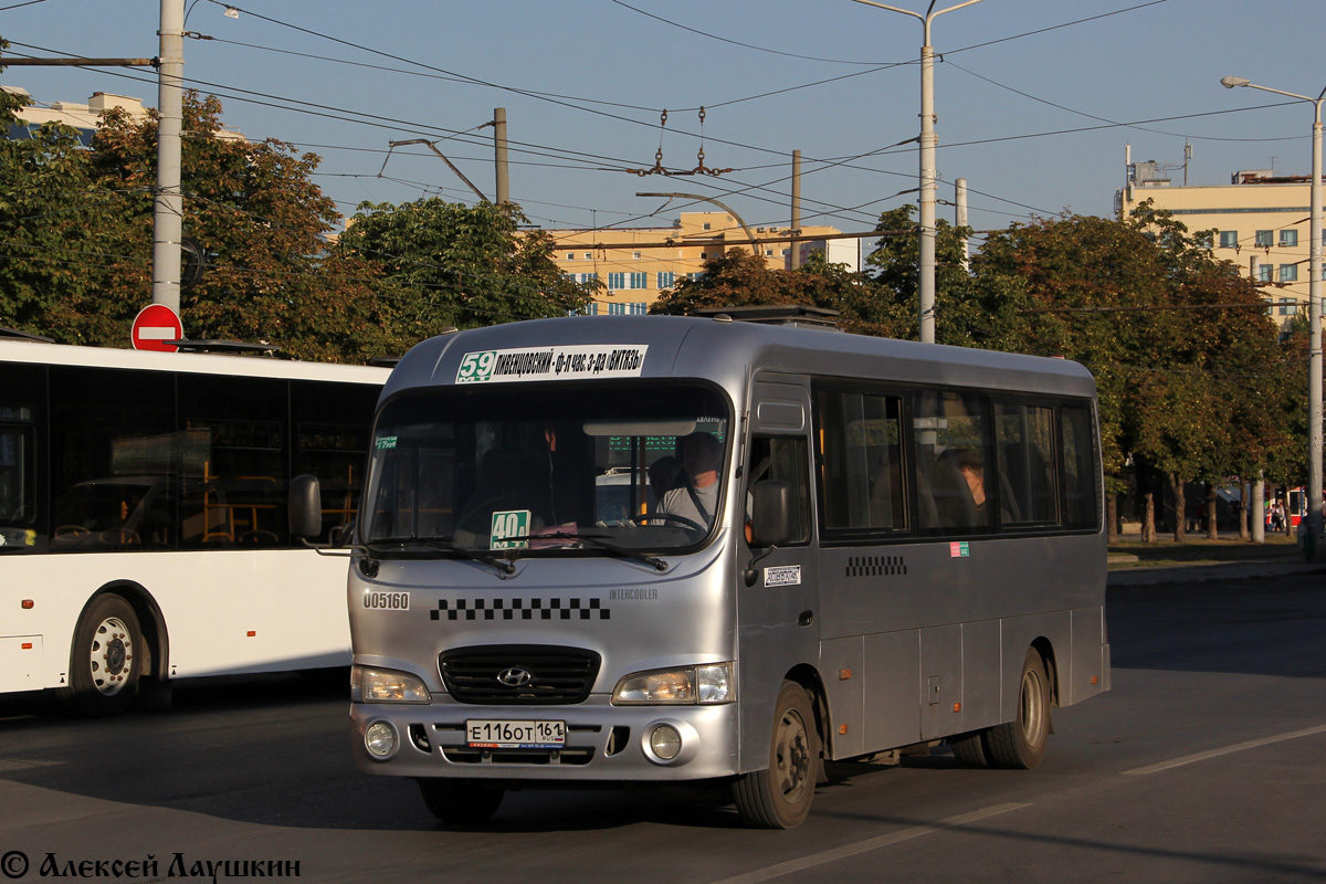 Ростовская область, Hyundai County LWB C11 (ТагАЗ) № 005160