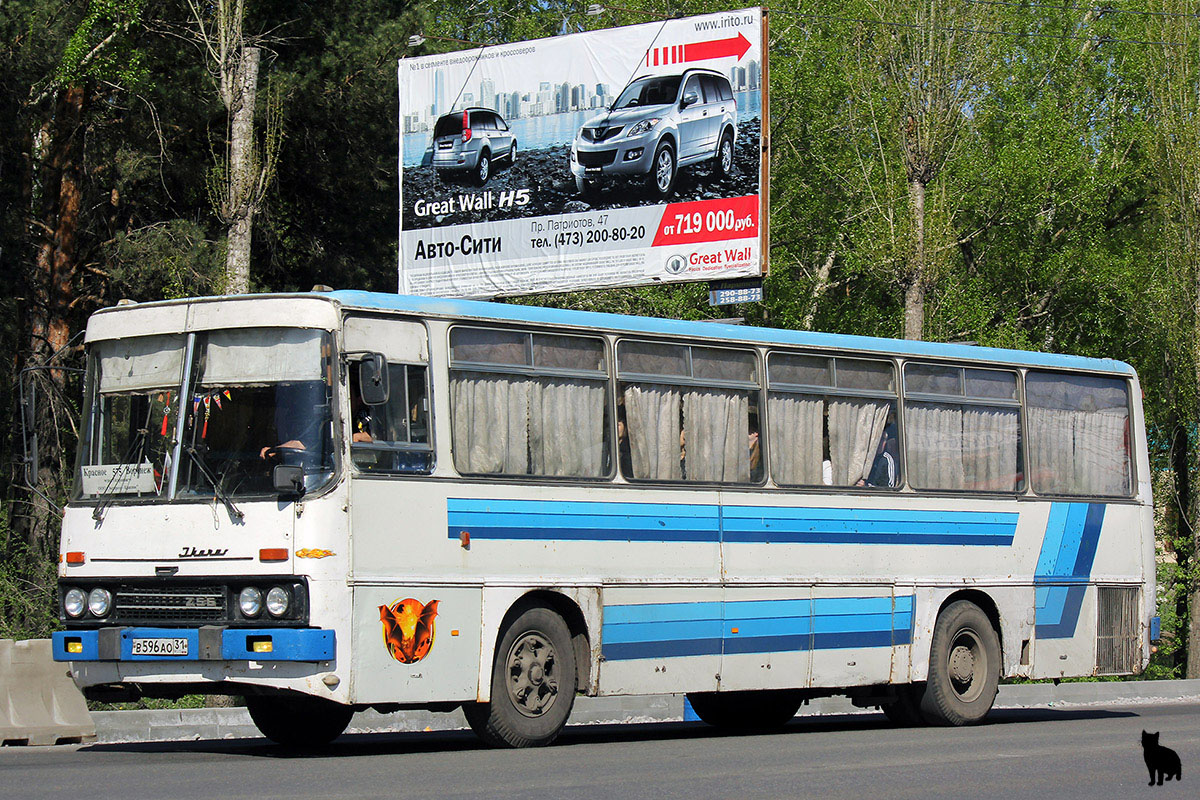 Белгородская область, Ikarus 256.51 № В 596 АО 31 — Фото — Автобусный  транспорт