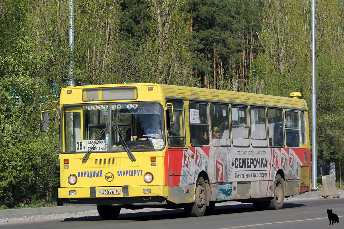 Воронежская область, ЛиАЗ-5256.30 № К 238 УЕ 36