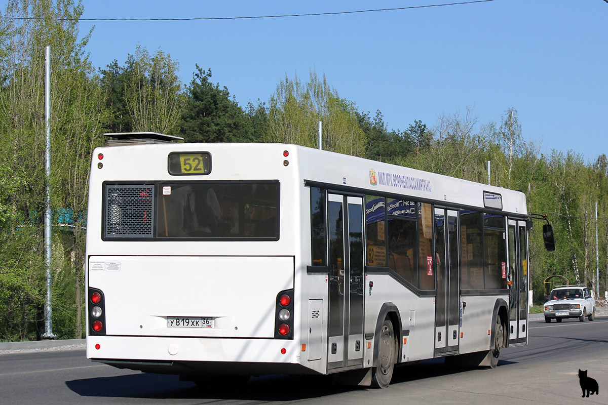 Воронежская область, МАЗ-103.469 № У 819 ХК 36