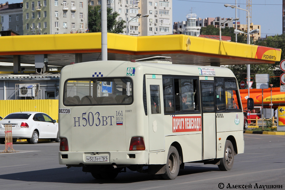 Ростовская область, Hyundai County SWB C08 (РЗГА) № 002239