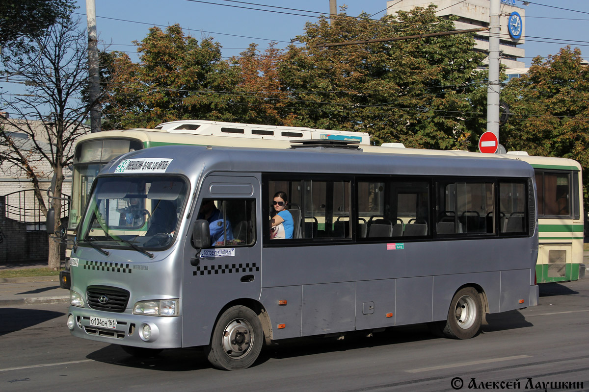 Ростовская область, Hyundai County LWB C09 (ТагАЗ) № 005142