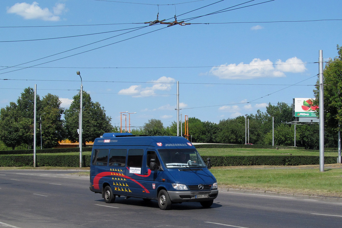 Lithuania, Mercedes-Benz Sprinter W903 313CDI # BRF 779