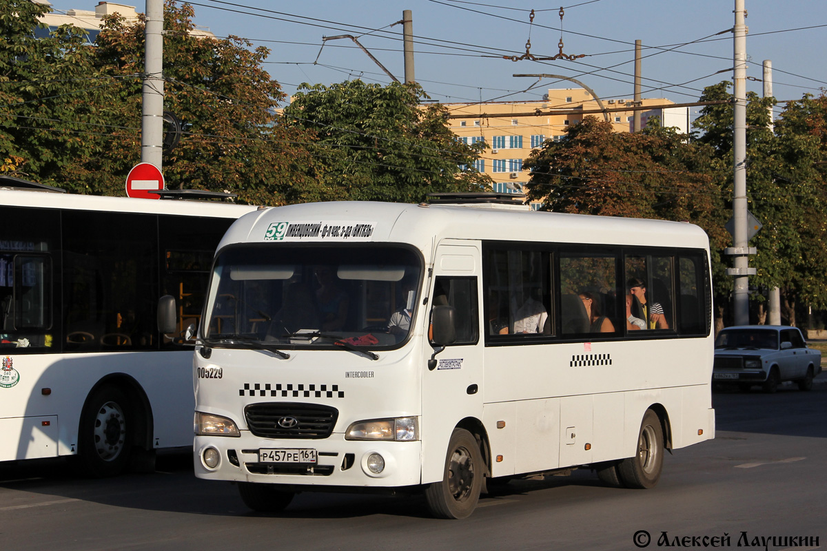 Ростовская область, Hyundai County LWB C11 (ТагАЗ) № 005229