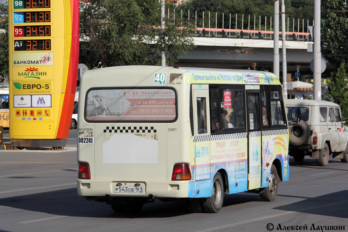 Rostov region, Hyundai County SWB C08 (RZGA) Nr. 002241