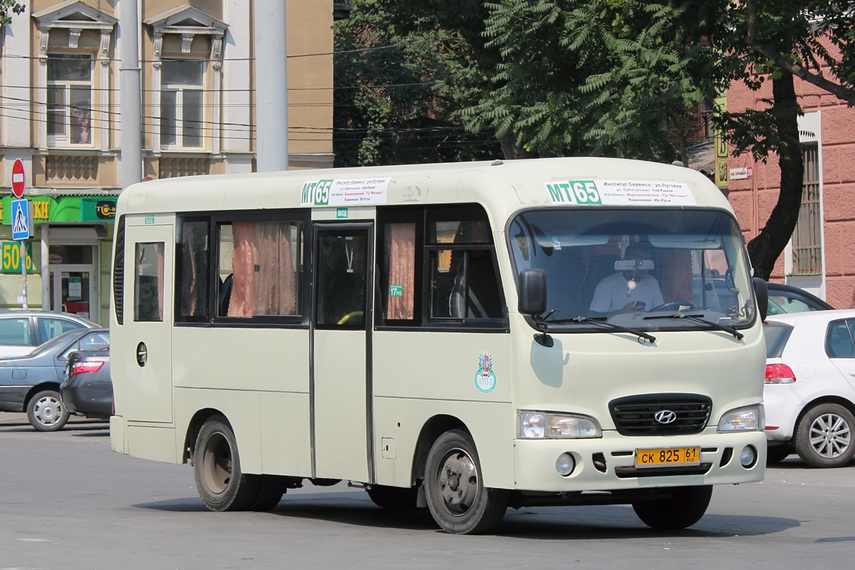 Ростовская область, Hyundai County SWB C08 (РЗГА) № 017