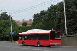 299 КБ