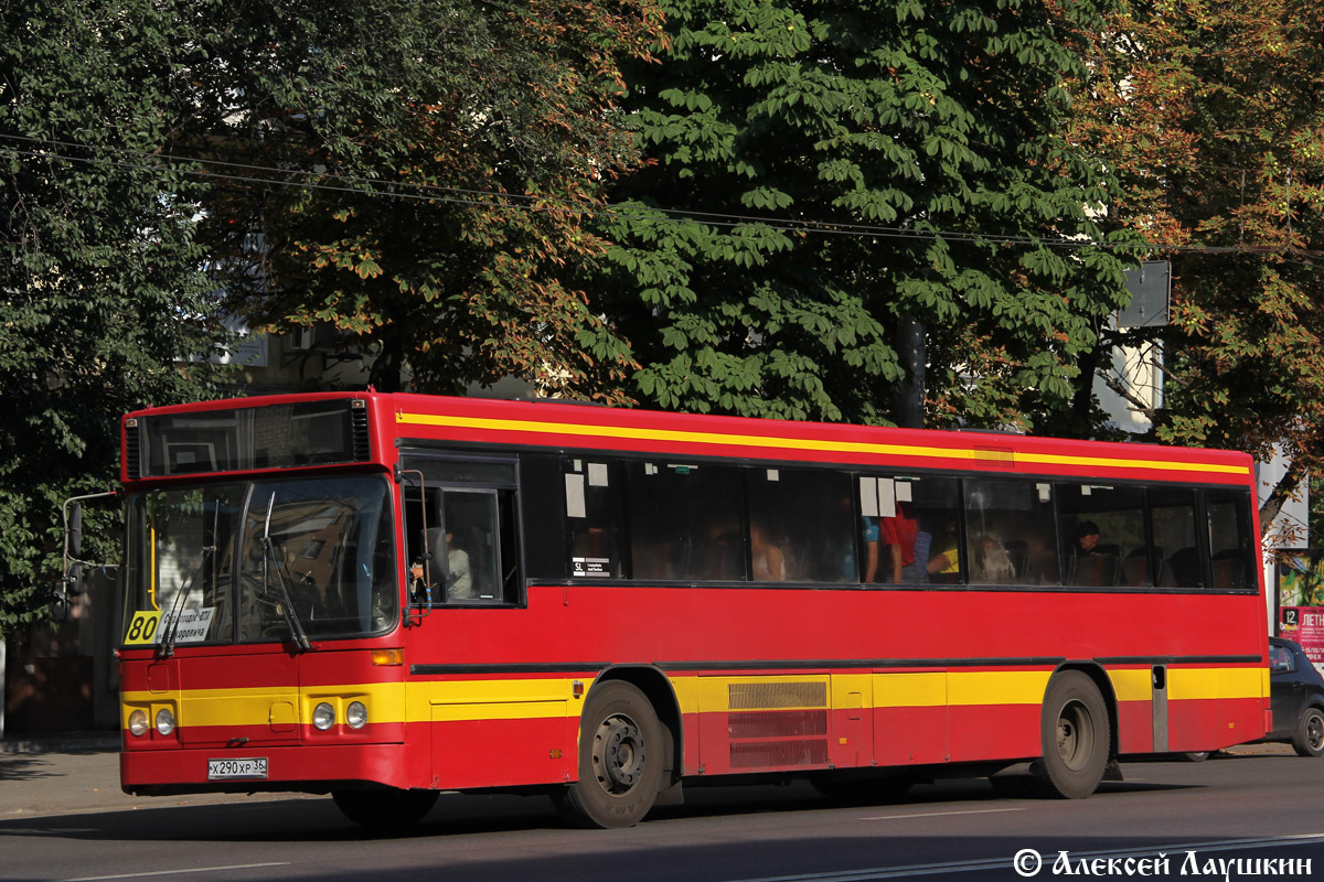 Воронежская область, Carrus K204 City № Х 290 ХР 36