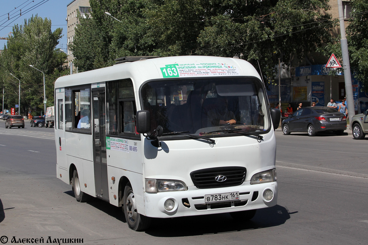 Ростовська область, Hyundai County SWB C08 (ТагАЗ) № В 783 НК 161