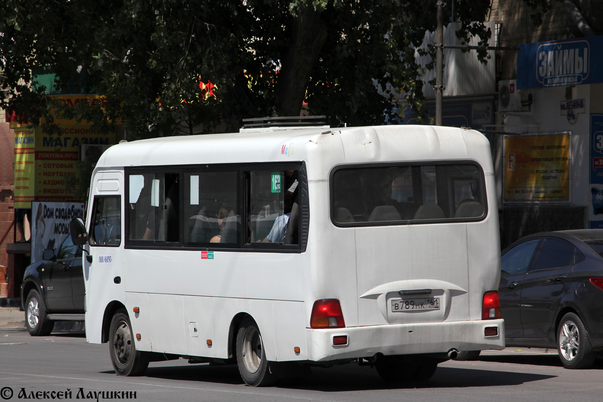 Ростовская область, Hyundai County SWB C08 (ТагАЗ) № В 789 НК 161