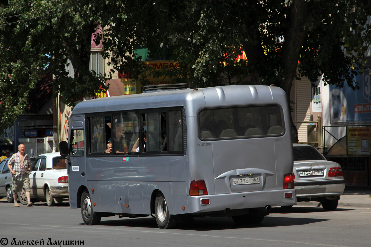 Ростовская область, Hyundai County LWB C11 (ТагАЗ) № 018