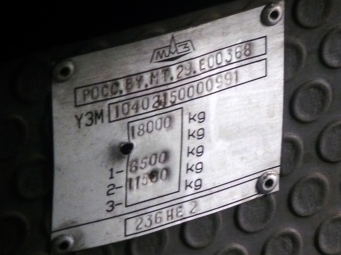 Новосибирская область, МАЗ-104.021 № 4113