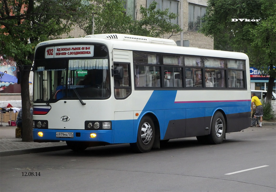 Приморский край, Hyundai Global 900 № О 979 МА 125