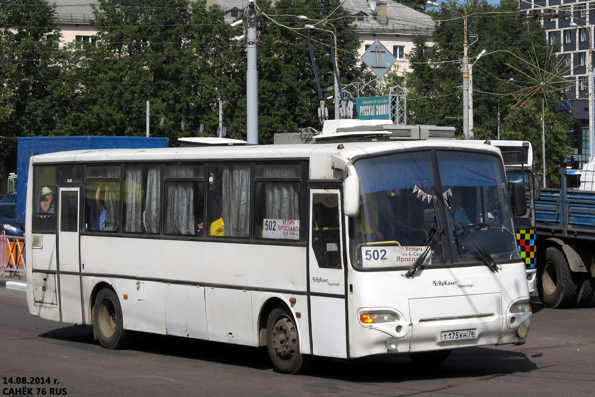 Ярославская область, КАвЗ-4238-00 № Т 175 КН 76