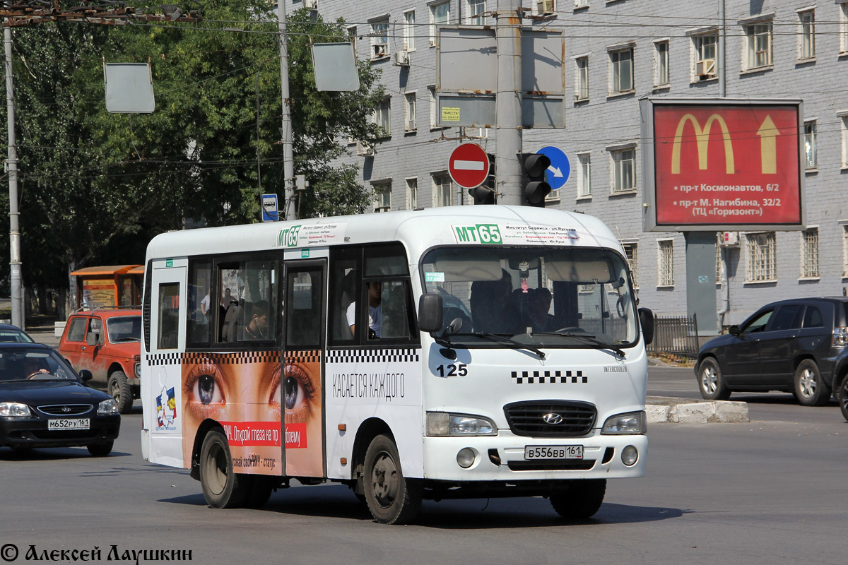 Ростовская область, Hyundai County SWB C08 (РЗГА) № 125