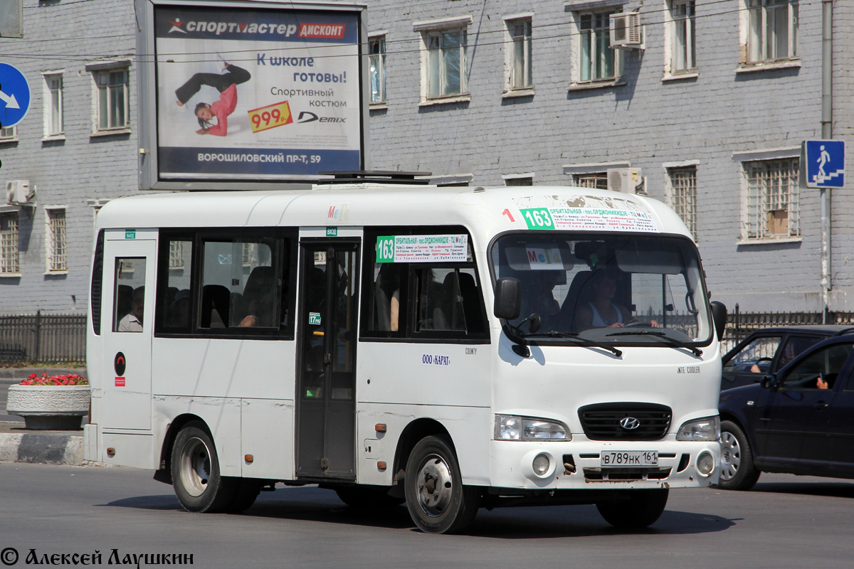 Ростовская область, Hyundai County SWB C08 (ТагАЗ) № В 789 НК 161