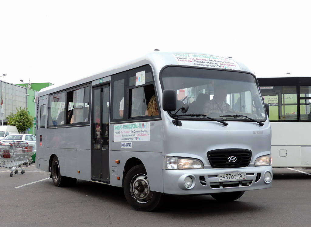 Ростовская область, Hyundai County LWB C11 (ТагАЗ) № 018