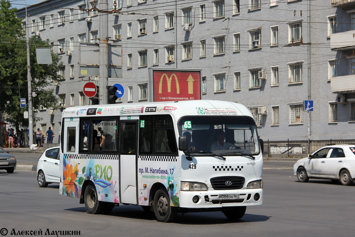 Ростовская область, Hyundai County SWB C08 (РЗГА) № 429