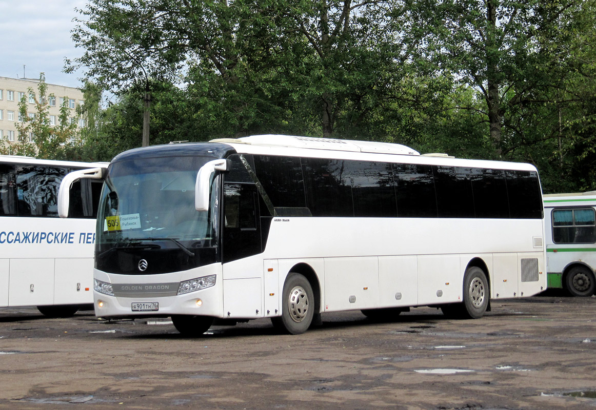 Ярославская область, Golden Dragon XML6127JR Snow Leopard № 208