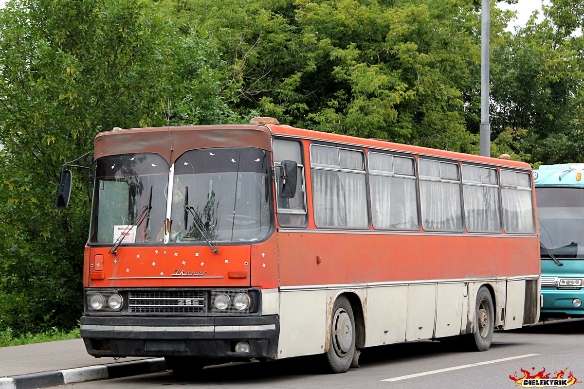 Московская область, Ikarus 256.54 № О 914 ТУ 190