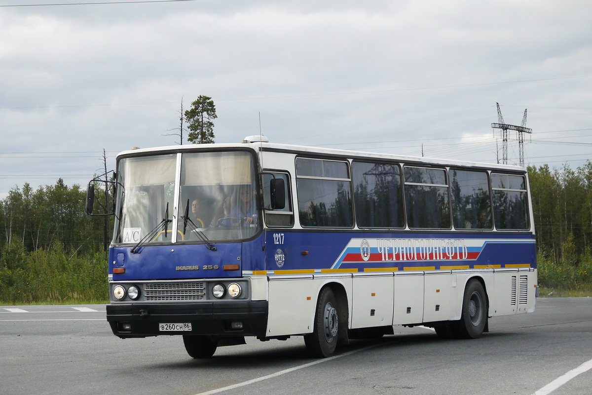 Ханты-Мансийский АО, Ikarus 256.74 № 1217