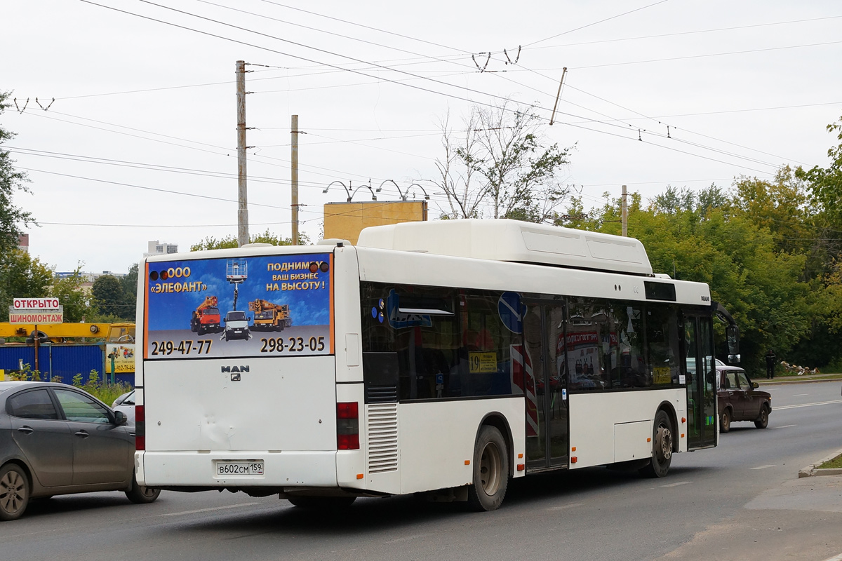 Пермский край, MAN A21 NL313 CNG № В 602 СМ 159