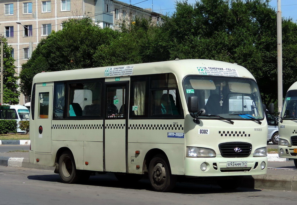 Ростовская область, Hyundai County SWB C08 (РЗГА) № 00302