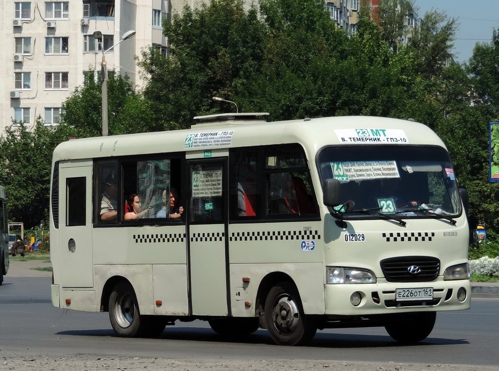 Ростовская область, Hyundai County SWB C08 (РЗГА) № 012029