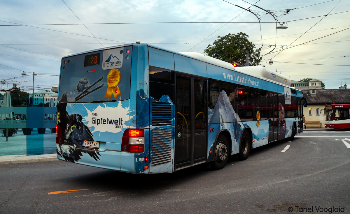Австрия, MAN A26 Lion's City L NL313-15 CNG № L1604