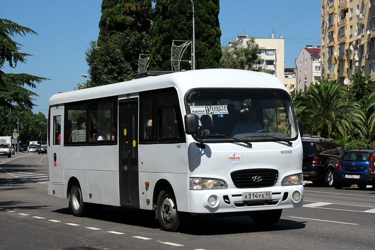 Краснодарский край, Hyundai County LWB C09 (ТагАЗ) № А 314 УХ 93