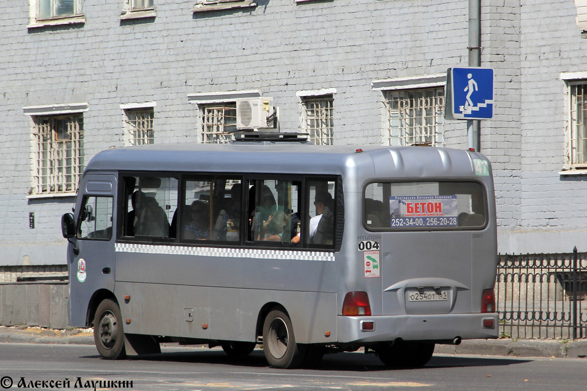 Ростовская область, Hyundai County LWB C11 (ТагАЗ) № 004