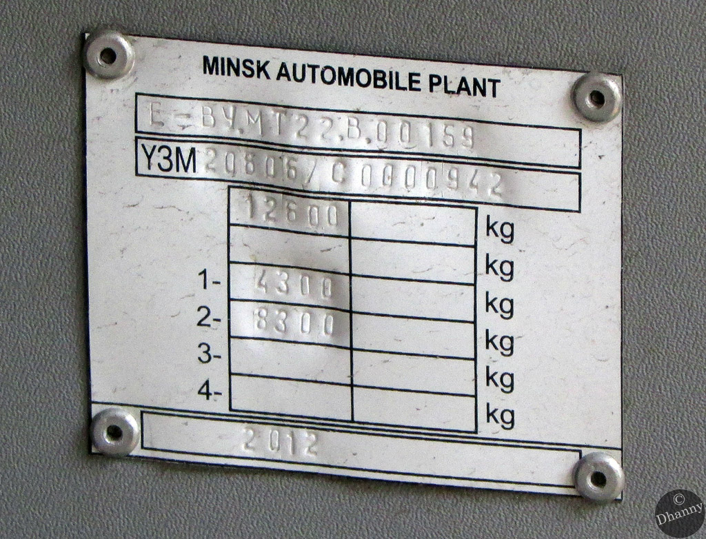 Самарская область, МАЗ-206.067 № ЕВ 669 63