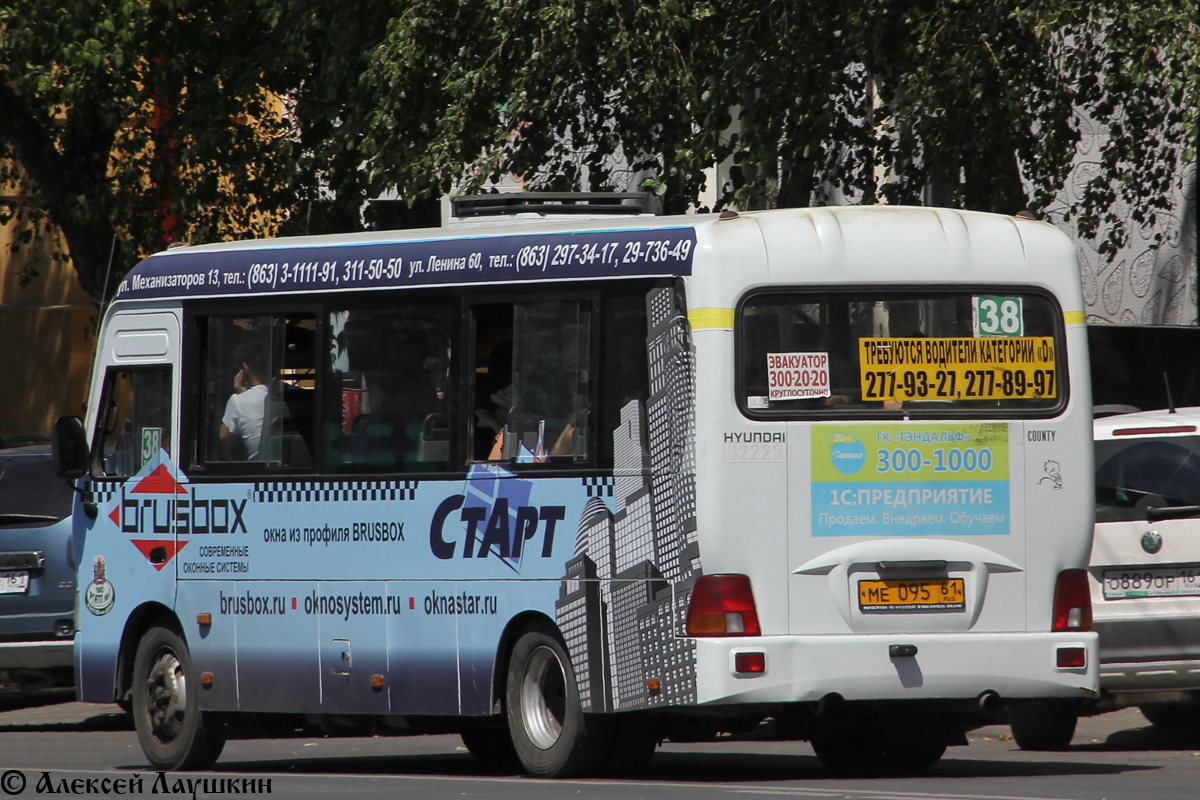 Ростовская область, Hyundai County LWB C09 (ТагАЗ) № 02225