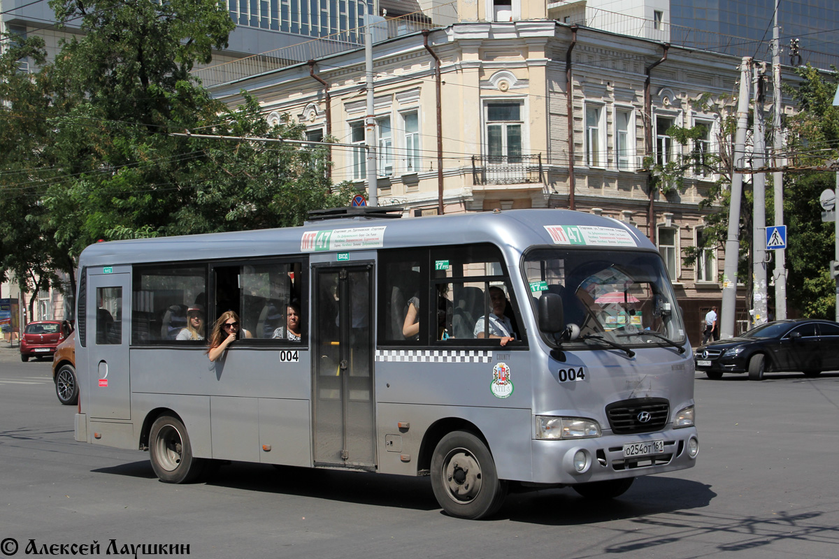 Ростовская область, Hyundai County LWB C11 (ТагАЗ) № 004