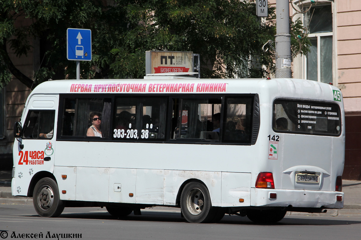 Ростовская область, Hyundai County LWB C09 (ТагАЗ) № 142