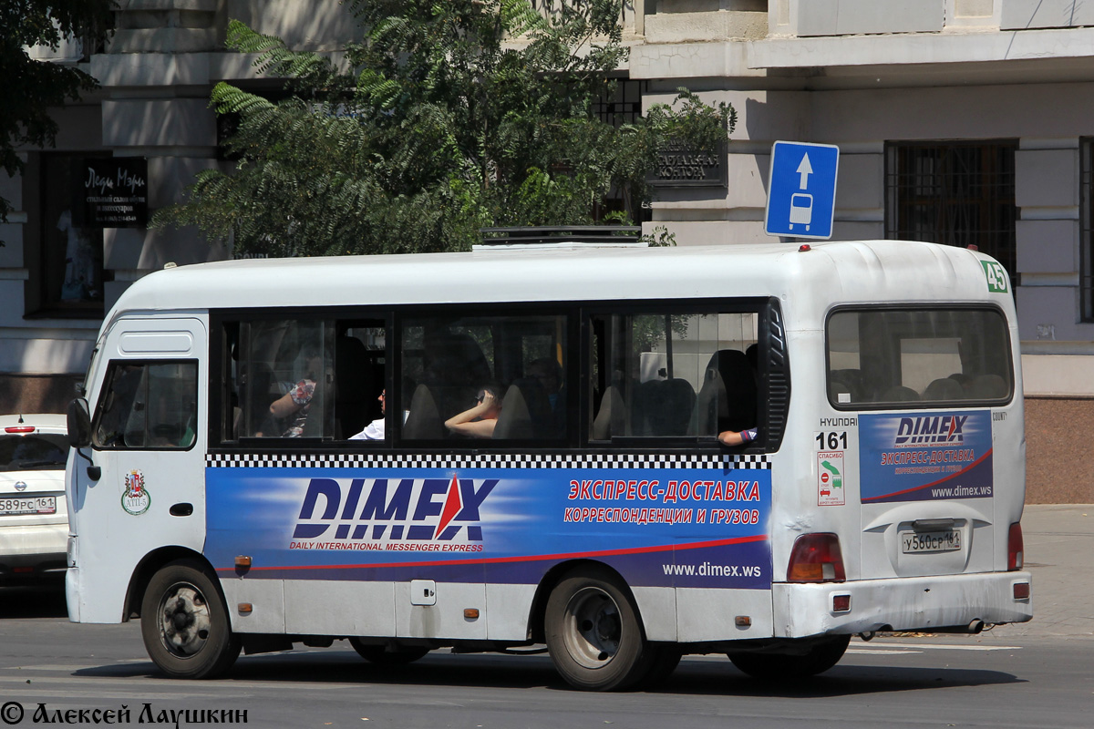 Ростовская область, Hyundai County SWB C08 (ТагАЗ) № 161