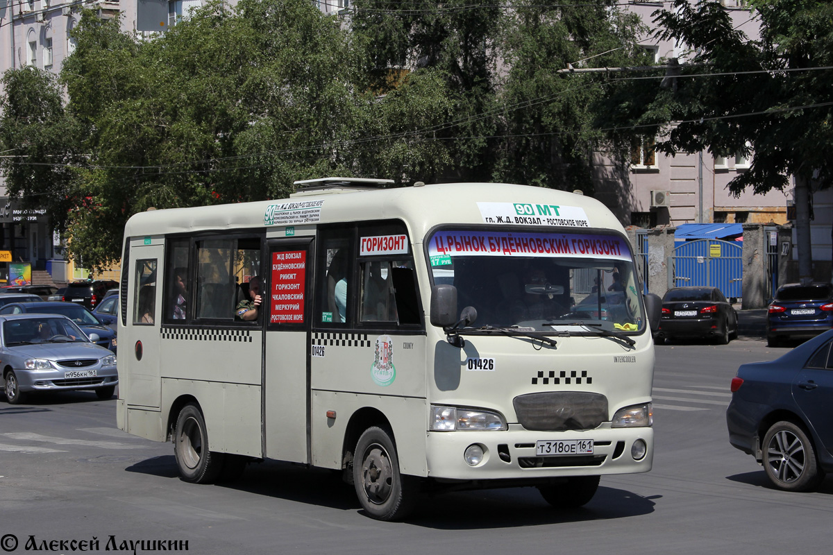 Ростовская область, Hyundai County SWB C08 (РЗГА) № 01426