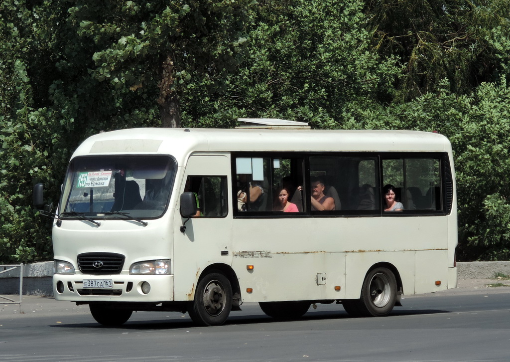 Ростовская область, Hyundai County SWB C08 (РЗГА) № Е 387 СА 161