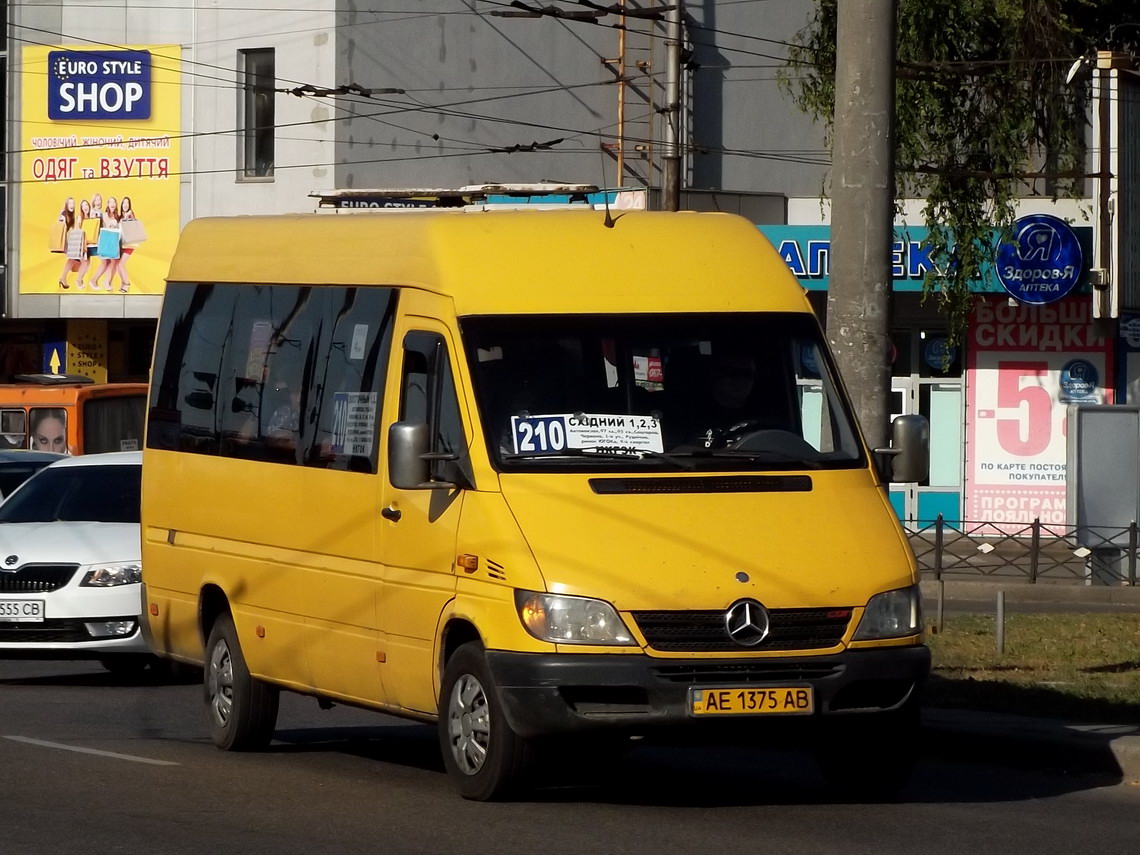 Днепропетровская область, Mercedes-Benz Sprinter W903 313CDI № AE 1375 AB