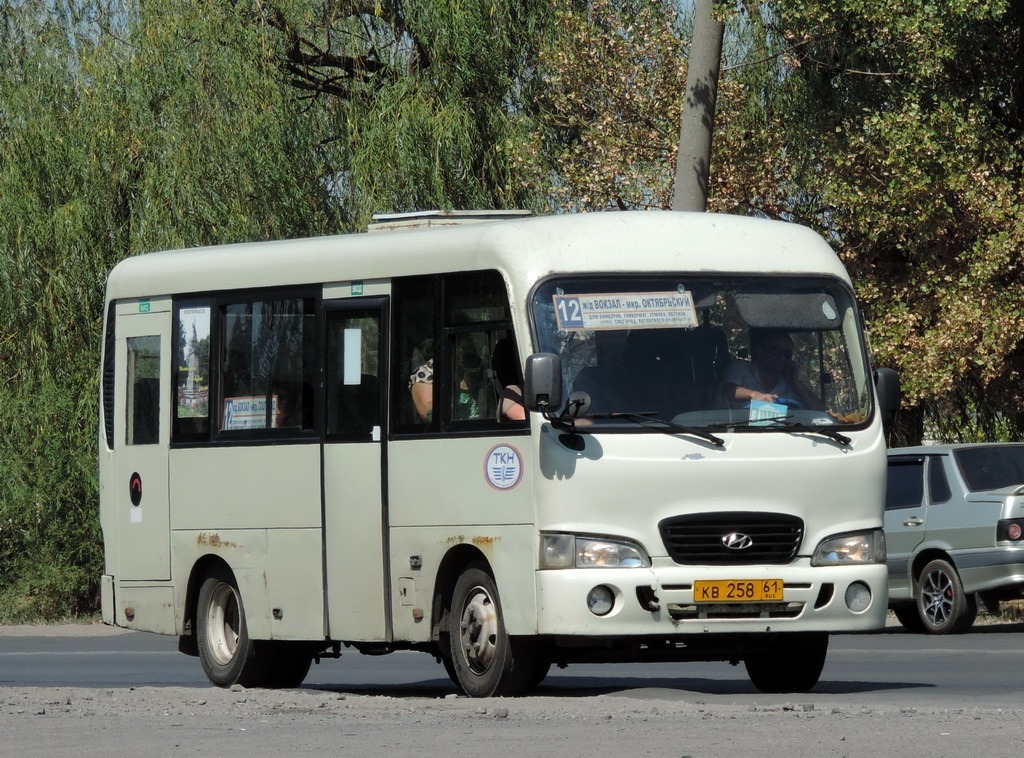 Ростовская область, Hyundai County SWB C08 (РЗГА) № КВ 258 61