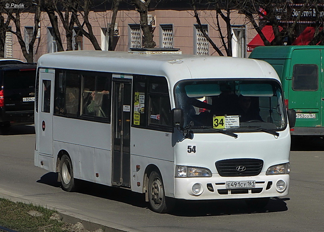 Ростовская область, Hyundai County LWB C09 (ТагАЗ) № 54