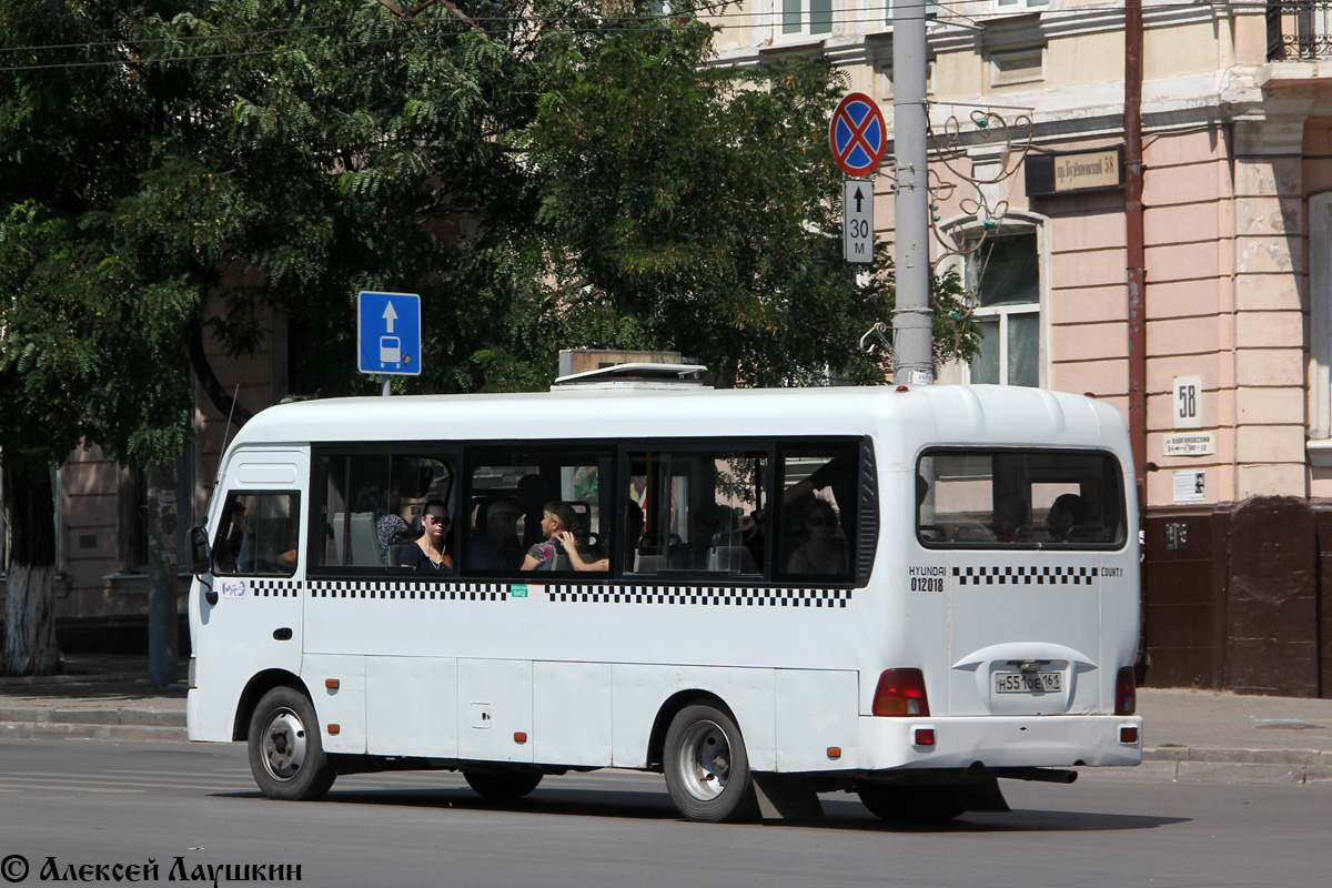 Ростовская область, Hyundai County LWB C09 (ТагАЗ) № 012018