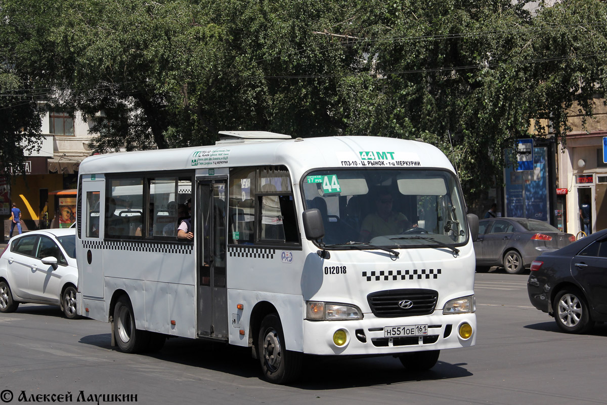 Rostower Gebiet, Hyundai County LWB C09 (TagAZ) Nr. 012018