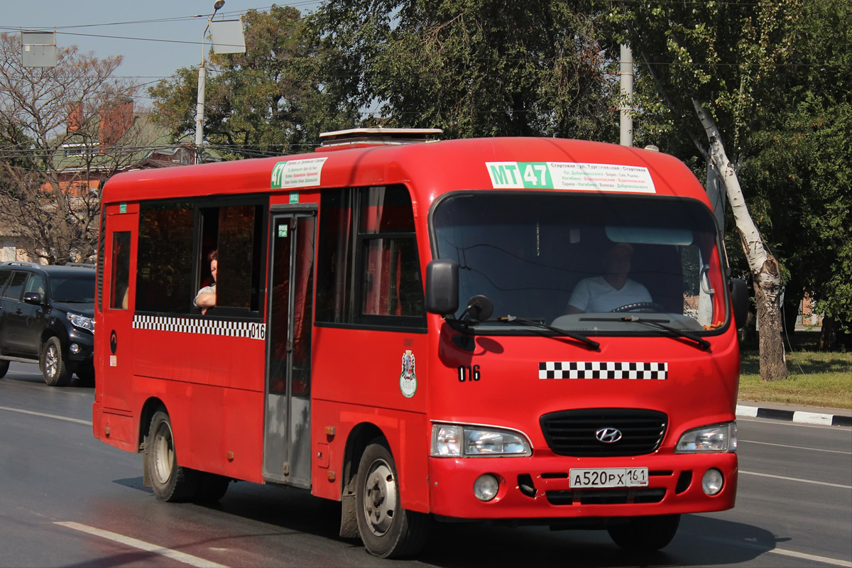 Ростовская область, Hyundai County LWB C09 (ТагАЗ) № 016