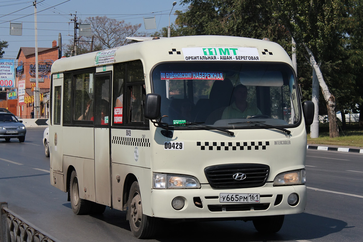 Ростовская область, Hyundai County SWB C08 (РЗГА) № 00429