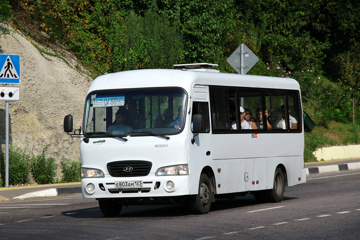 Краснодарский край, Hyundai County LWB C09 (ТагАЗ) № Е 803 АМ 123