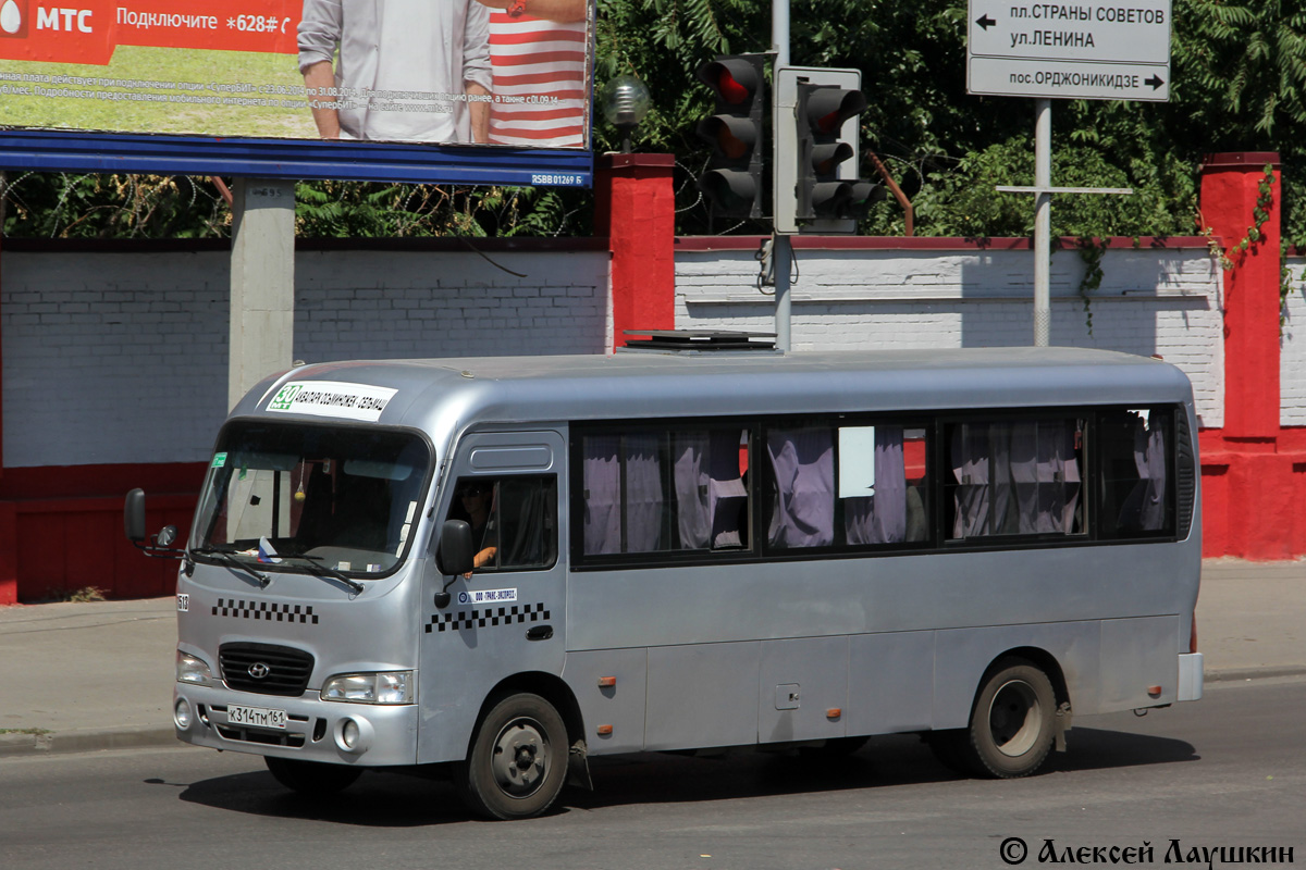 Ростовская область, Hyundai County LWB C11 (ТагАЗ) № 01513