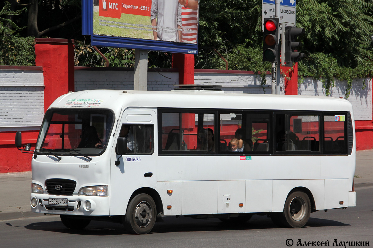 Ростовская область, Hyundai County LWB C09 (ТагАЗ) № 010