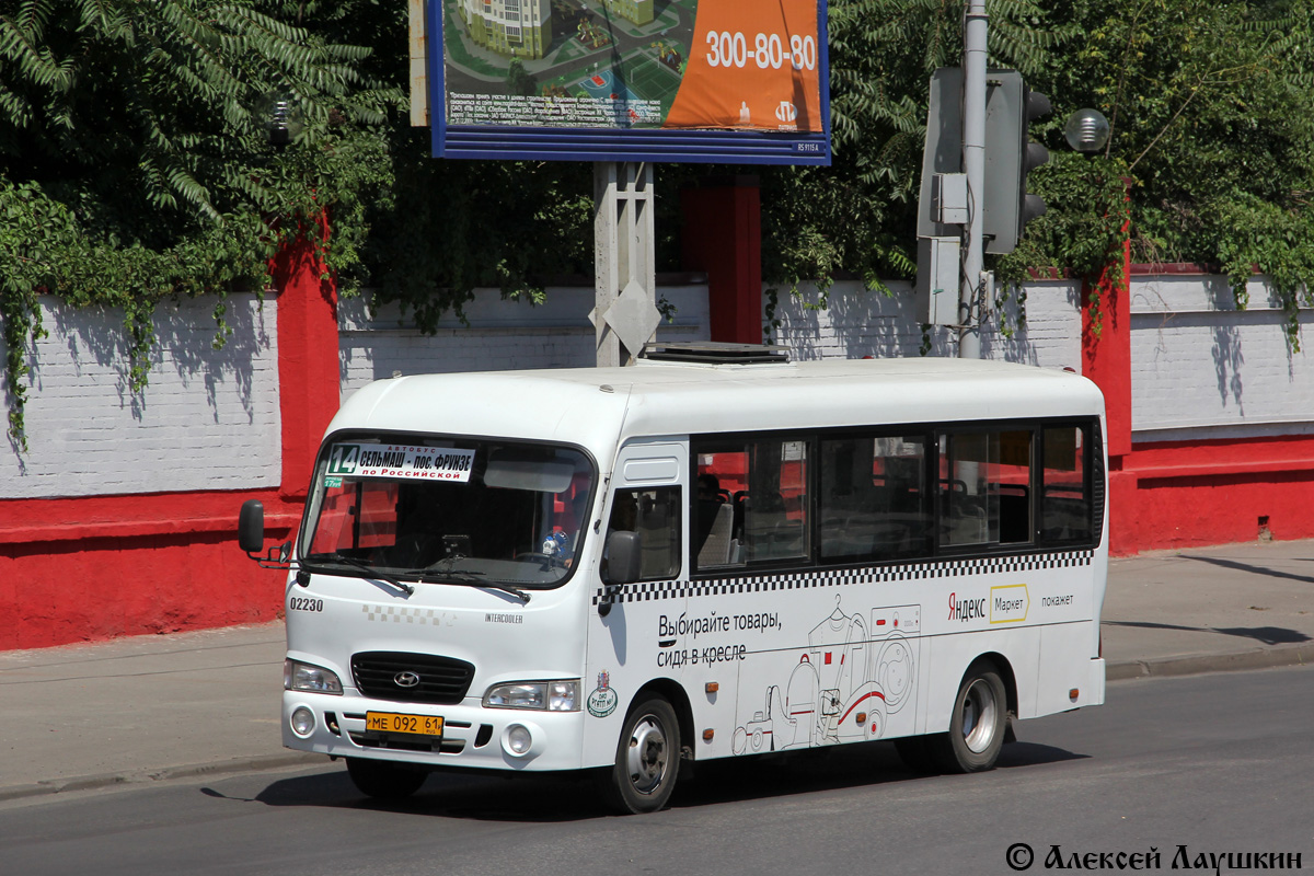 Ростовская область, Hyundai County LWB C09 (ТагАЗ) № 02230